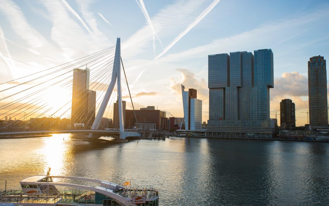 De bouwmaterialen van Rotterdam een kijkje in de geschiedenis van Van Wijngaarden